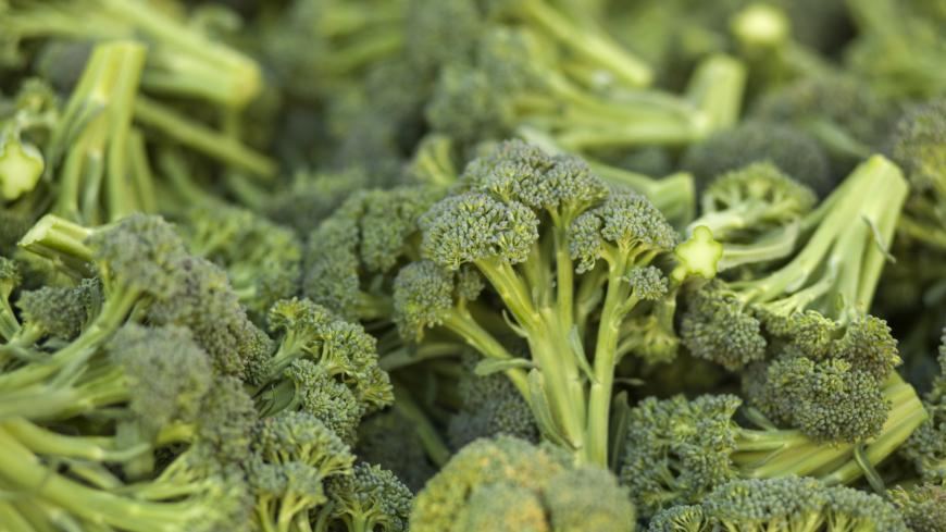 Broccoli kan vara lika effektivt för att sänka blodsocker som dagens läkemedelsbehandling Foto: Shutterstock
